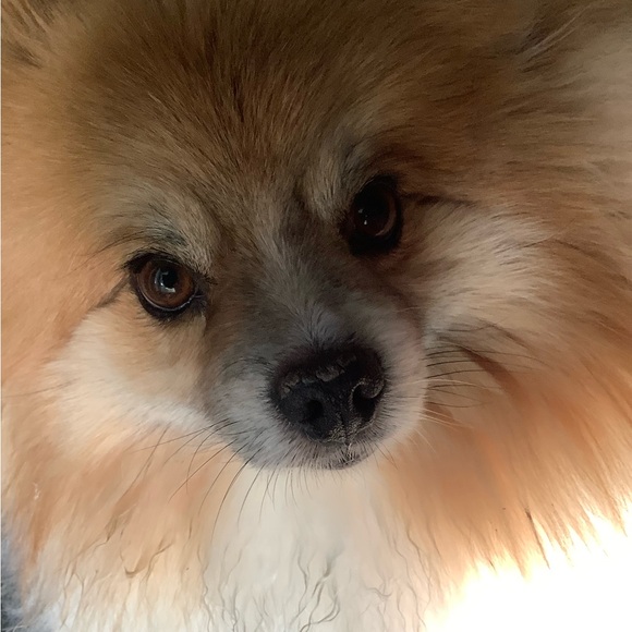 • 𝔪𝔢𝔢𝔱 𝔶𝔬𝔲𝔯 𝔰𝔢𝔩𝔩𝔢𝔯 !! • - Picture 6 of 11